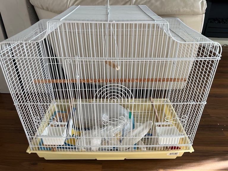 Bird cage 