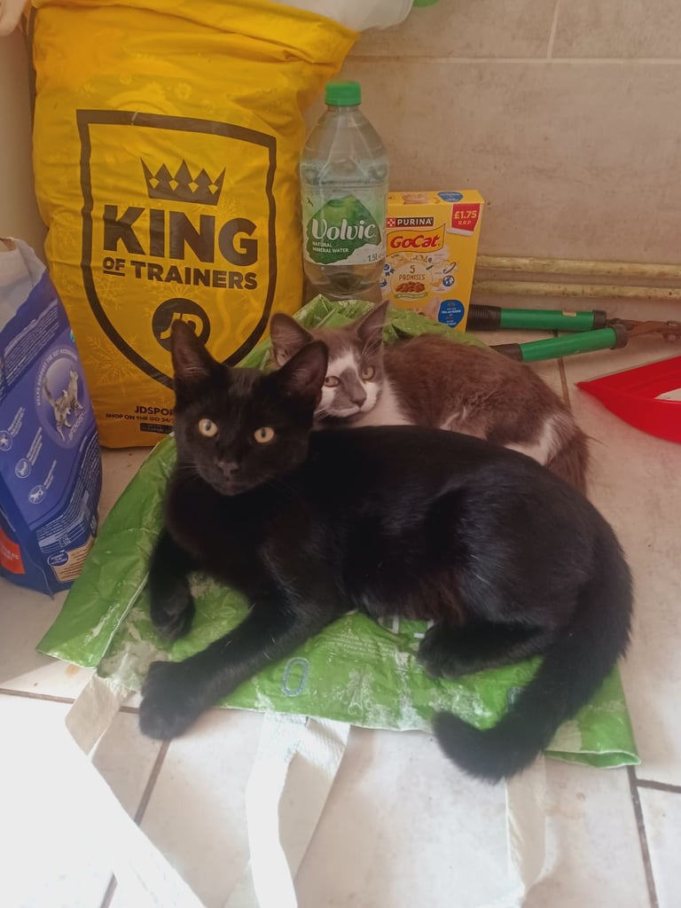 New home needed