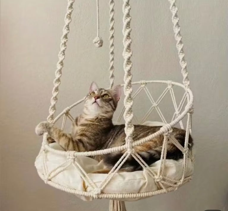 Everything you need for a cat… all brand new