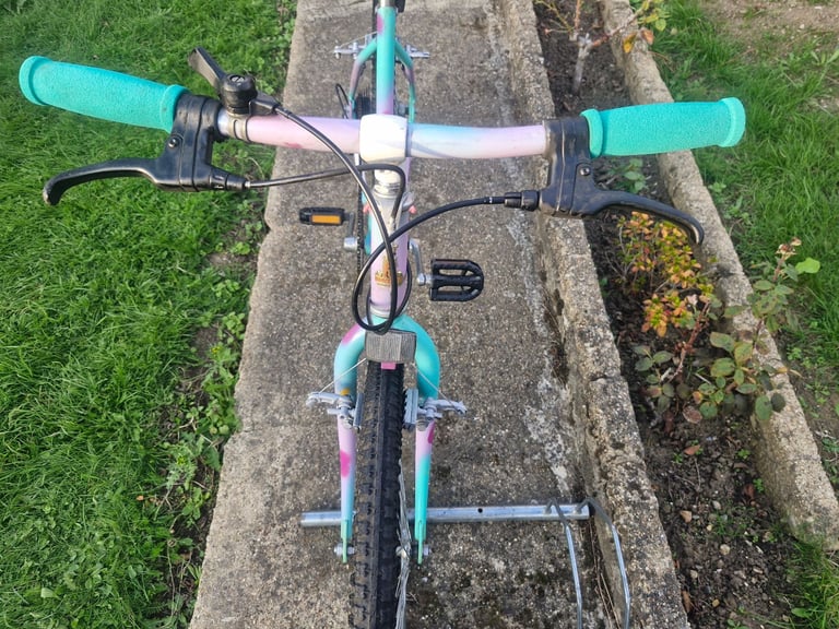 GIRLS TEENAGER YOUTH RALEIGH 24 INCH WHEELS 15 INCH FRAME 5 SPEED BIKE BICYCLE