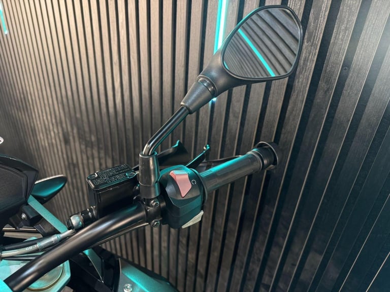 2019 BMW G 310 GS 310 Euro 4