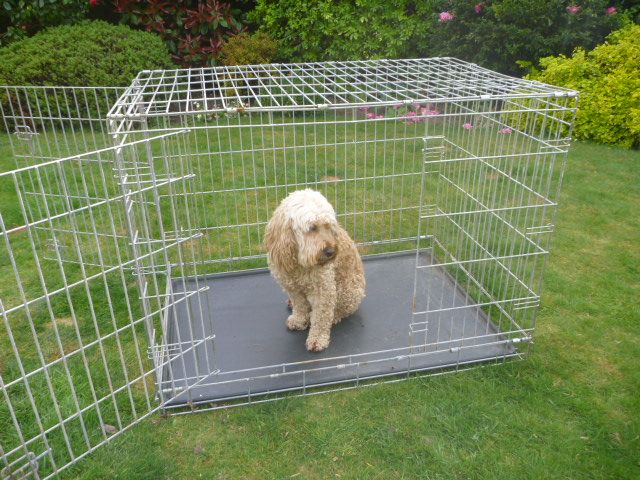 XL Super Strong Dog Cage / Dog Crate