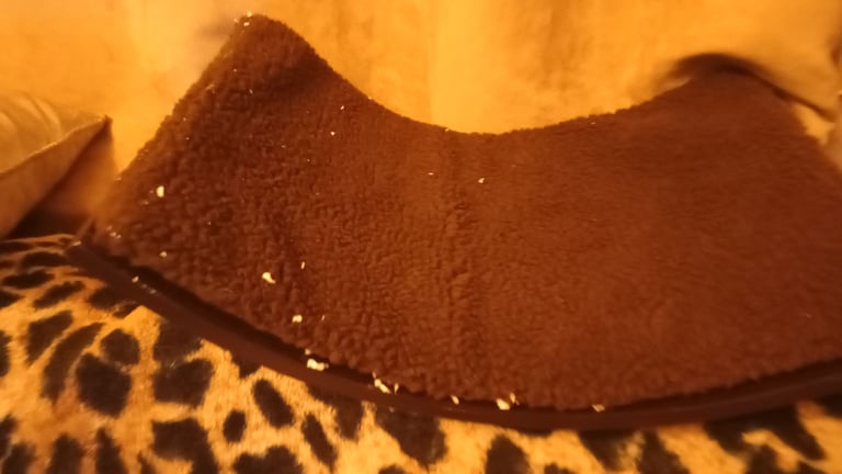 image for Cat shelf with fleece lined new never used attached to wall new never used £20