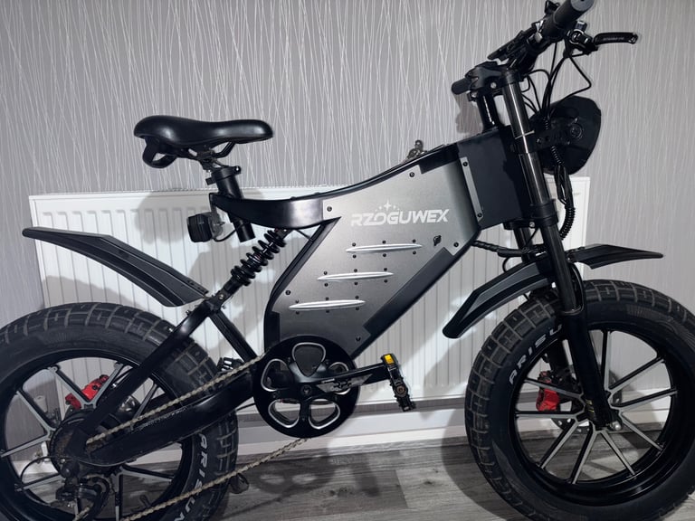 Electric bike 