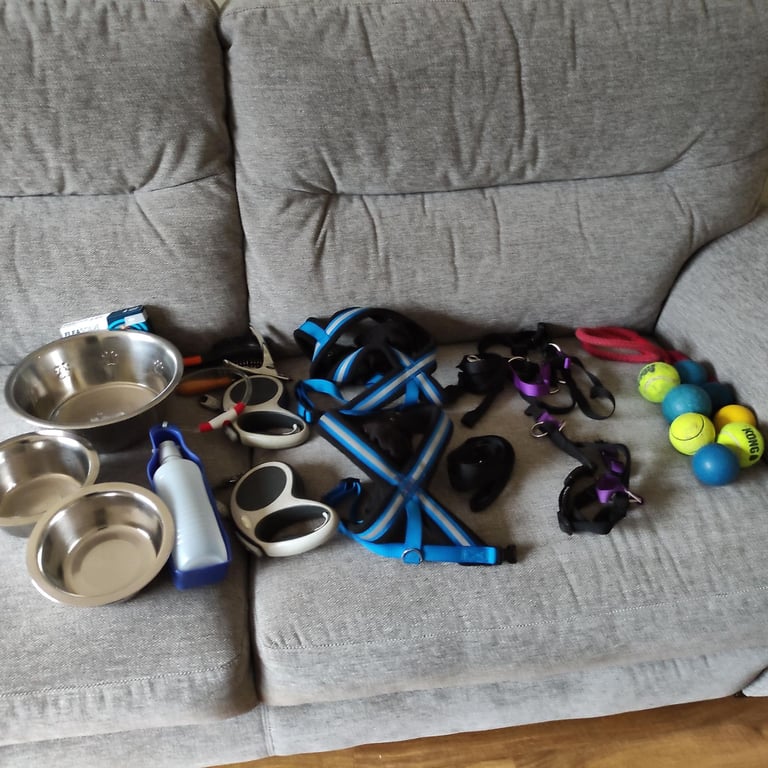 FREE - DOG LEADS, BOWLS, ETC
