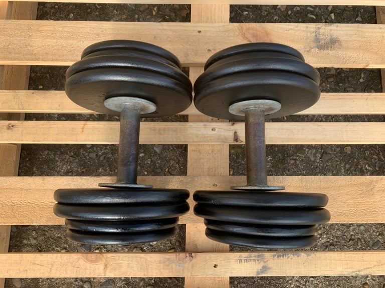 2 x 34kg Cast Iron Dumbbells