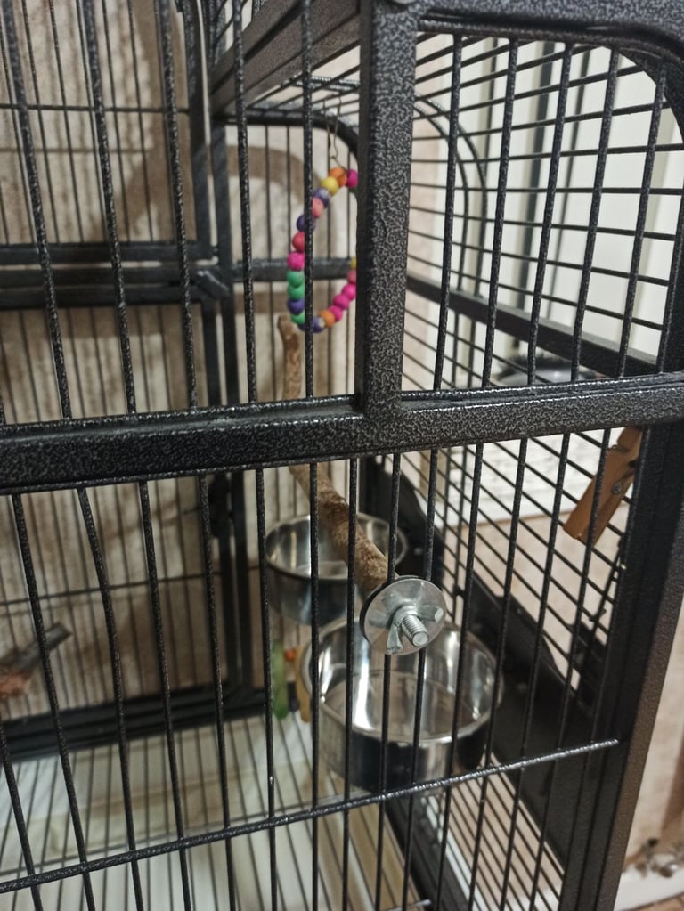 Rainforest Santa Fe Top Opening Parrot Cage with stand