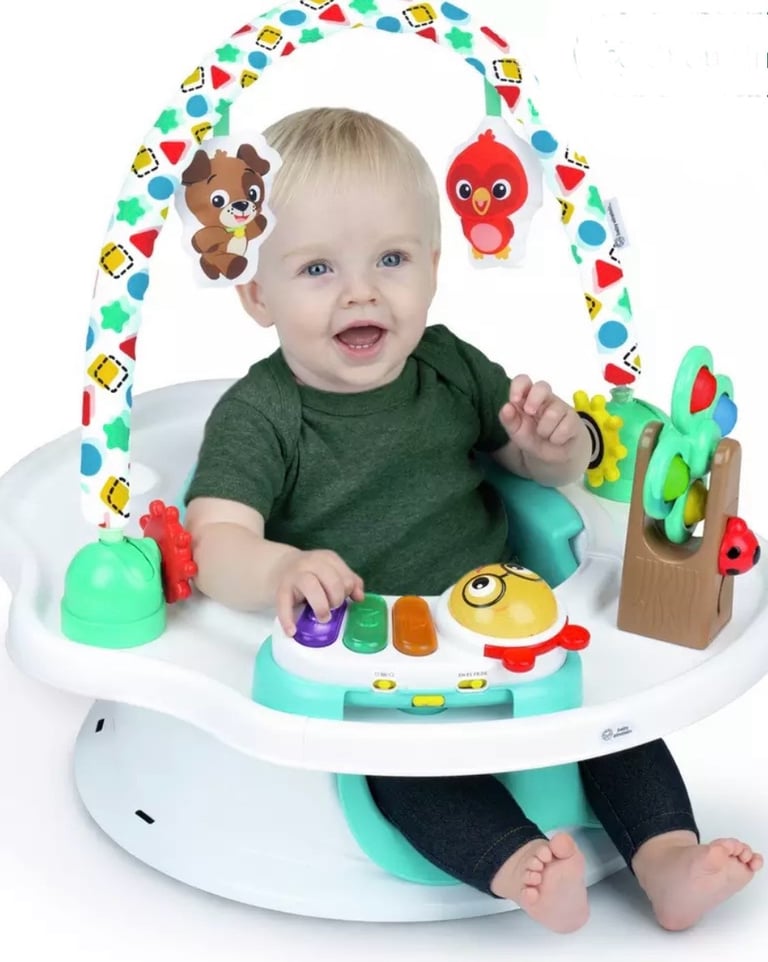 image for Baby bumbo Einstein musical