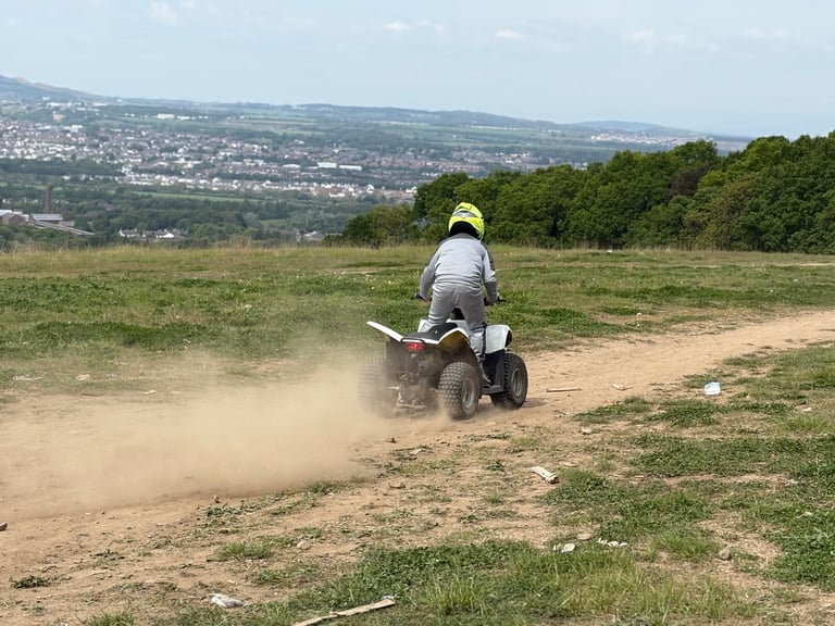 🔥Quadzilla qzr 80 