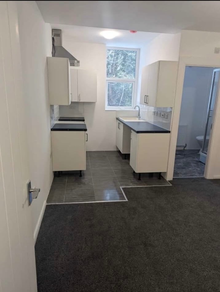 Large 1 bedroom apartment 