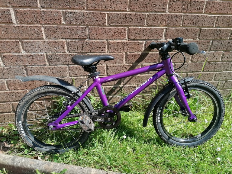 Raleigh Performance 16 inch 