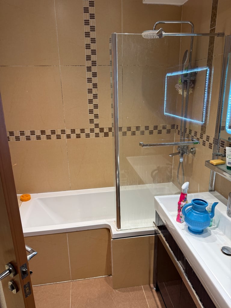 1 bedroom apartment / flat
