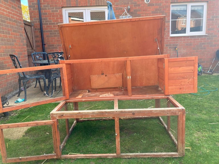 Rabbits - Norwegian Dwarf - With hutch