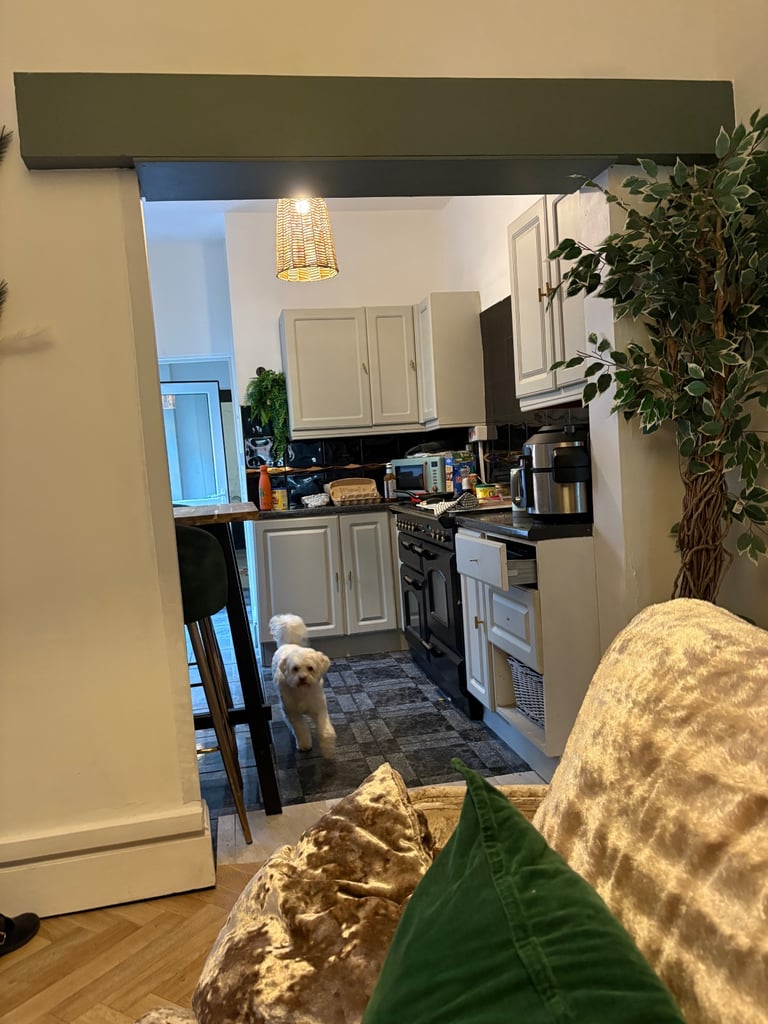 Large Victorian house 