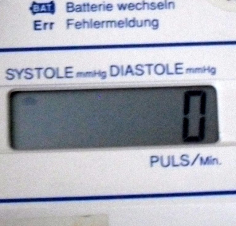 Digital Electronic Blood Pressure Monitor DS-111
