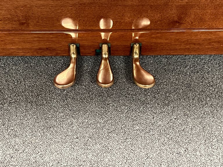 🎵🎹 STUNNING WALDSTEIN 118 **TUNED/SEEVICED/WARRANTY AND DELIVERY** 🎹🎵