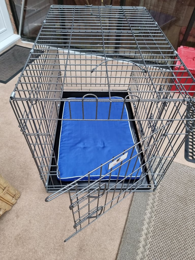 Large dog crate