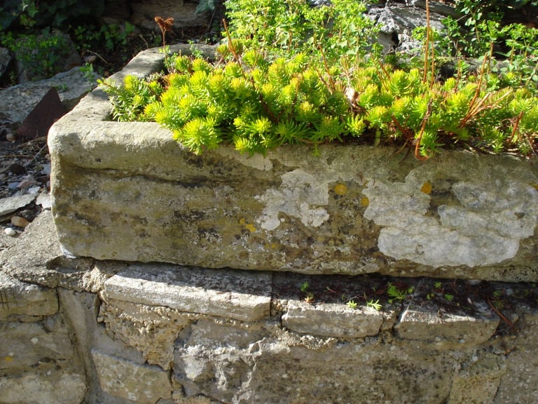 Large Rough Hewn Garden Trough/Alpine Garden 400 to 200 years old