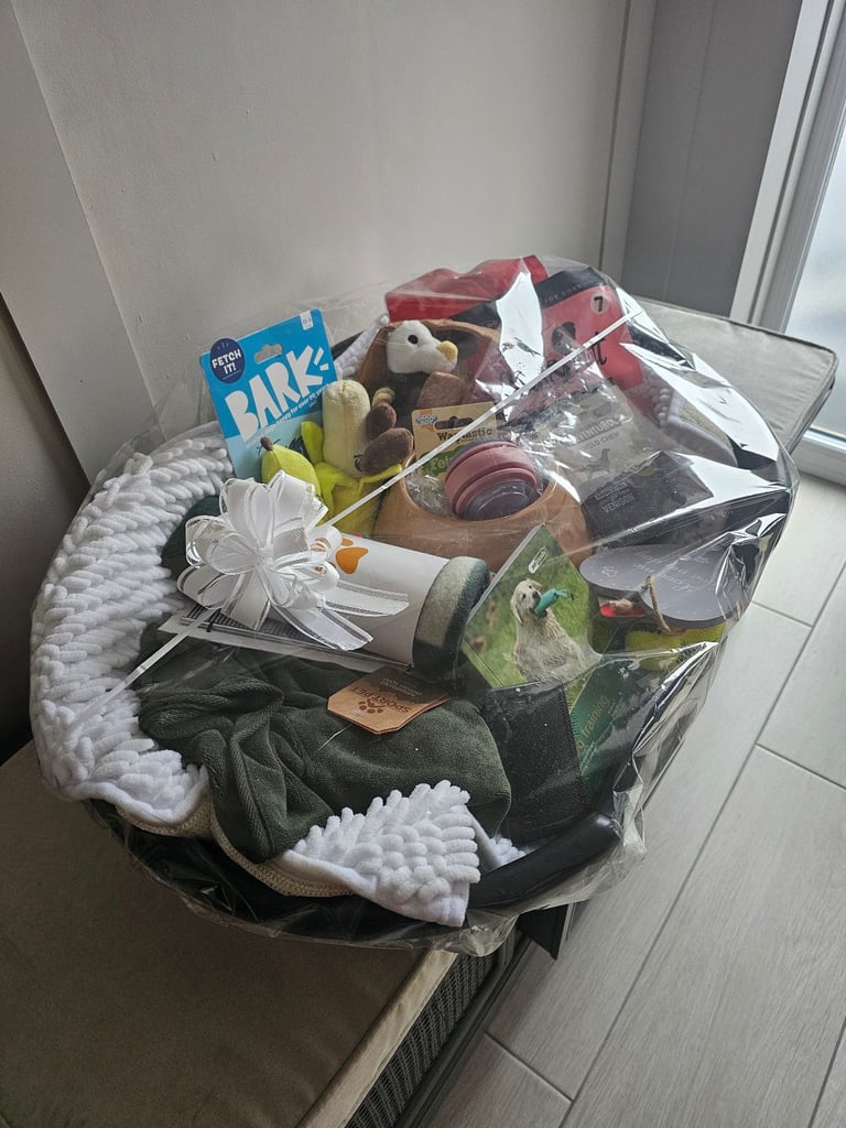 Dog bed and accessories 