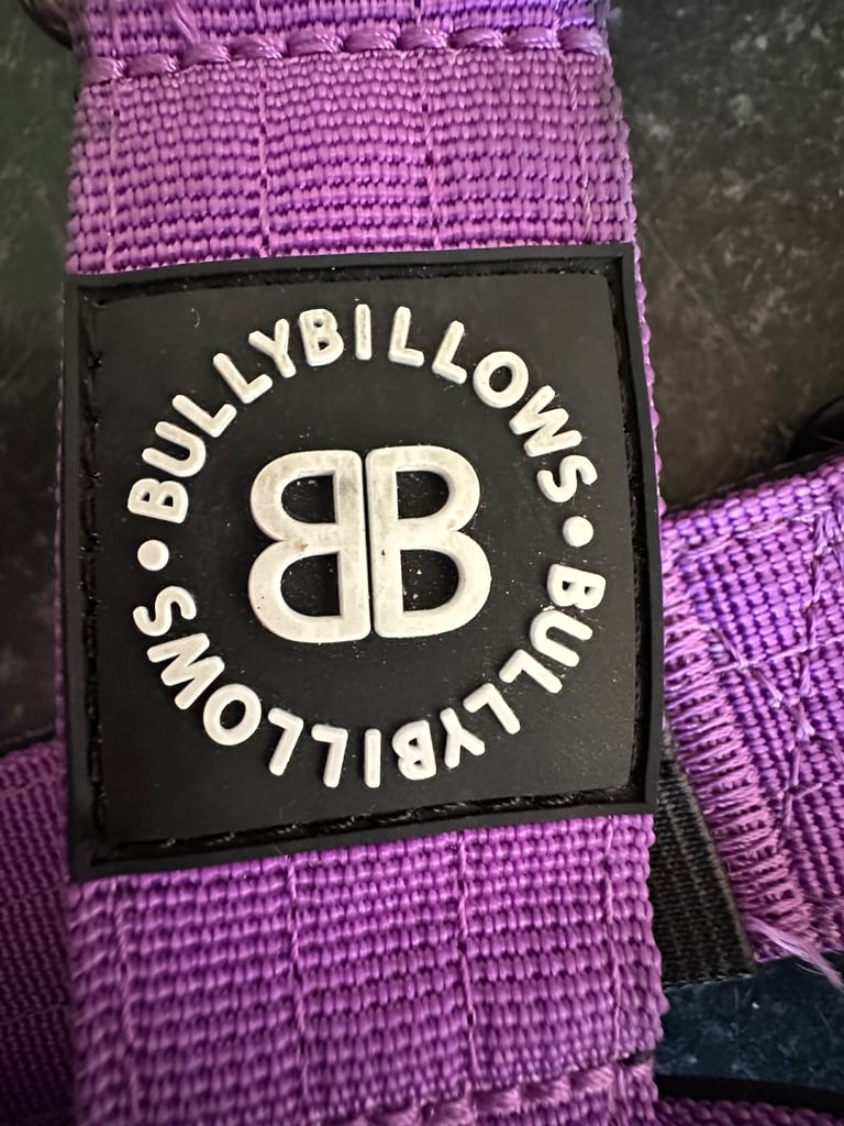 Bullybillows dog lead and harness 
