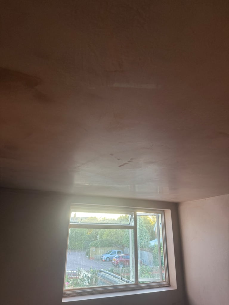 image for Professional plaster 