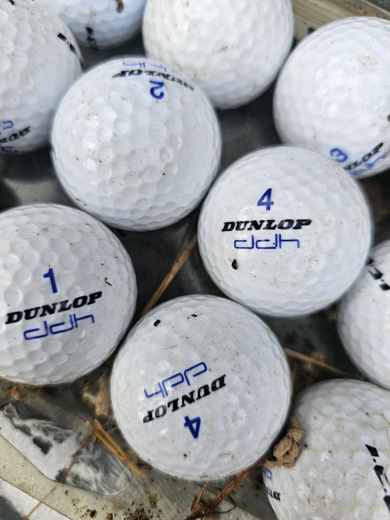 image for Golf set. Putter and 15+ balls