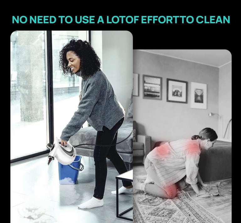 Hand held steam cleaner (brand new)