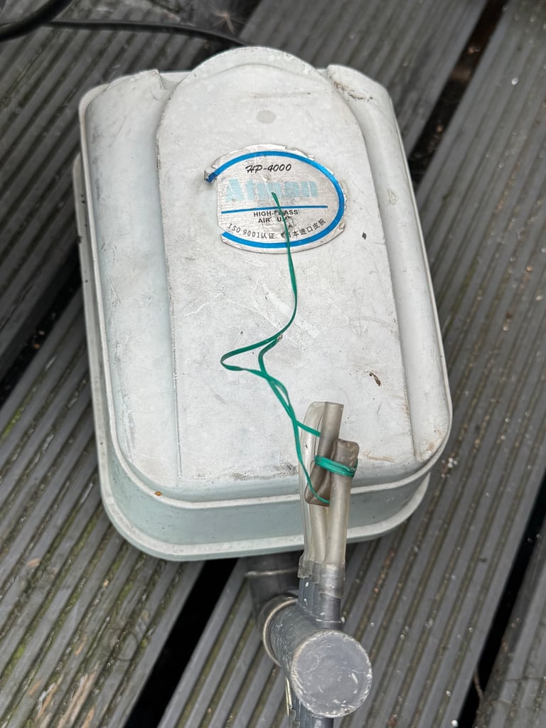 fish tank with pump filter and food 