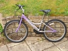 Girls Junior 24 inch 18 speed Probike bicycle.