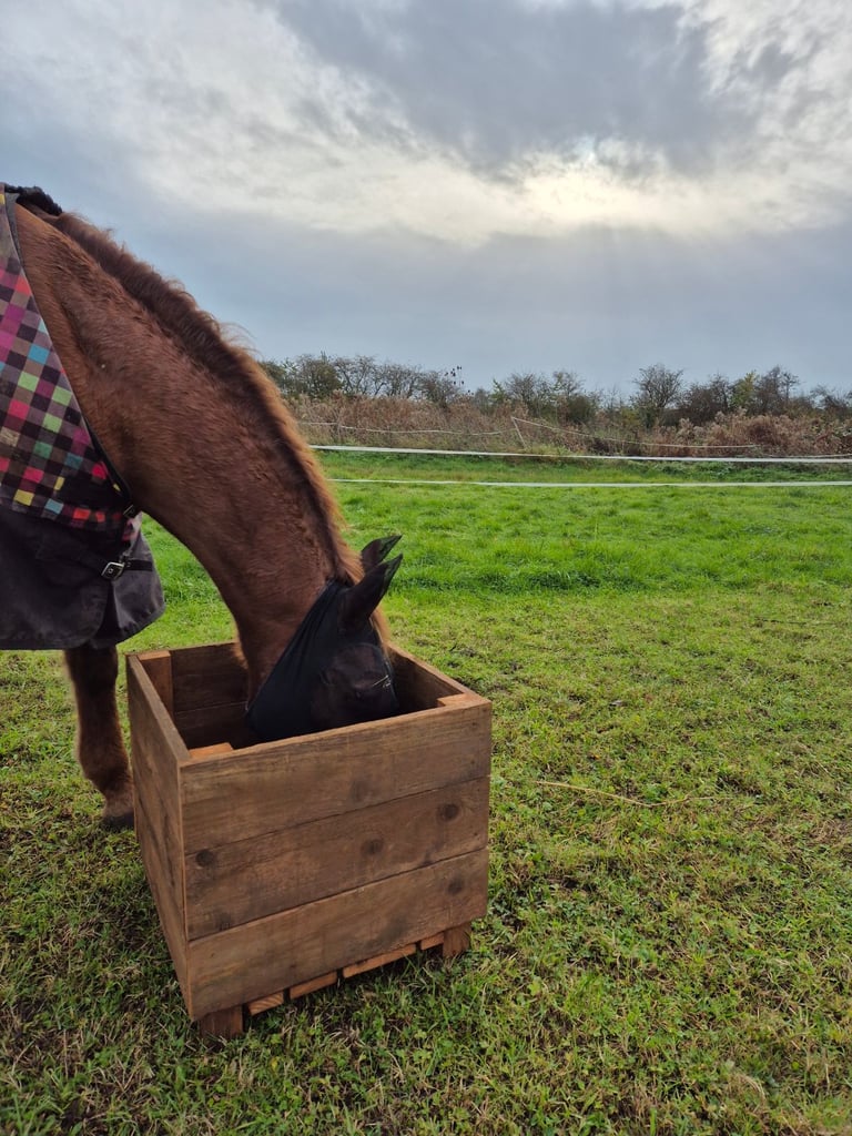 Horse hay box 