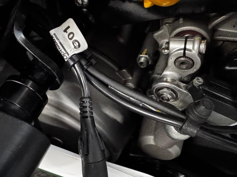 DUCATI 1299 PANIGALE R Final Edition Full Ducati Akrapovic System MAP  Ducati