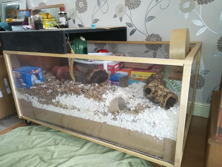 Large Hamster Cage and accessories bundle - Living World Green Moving Home