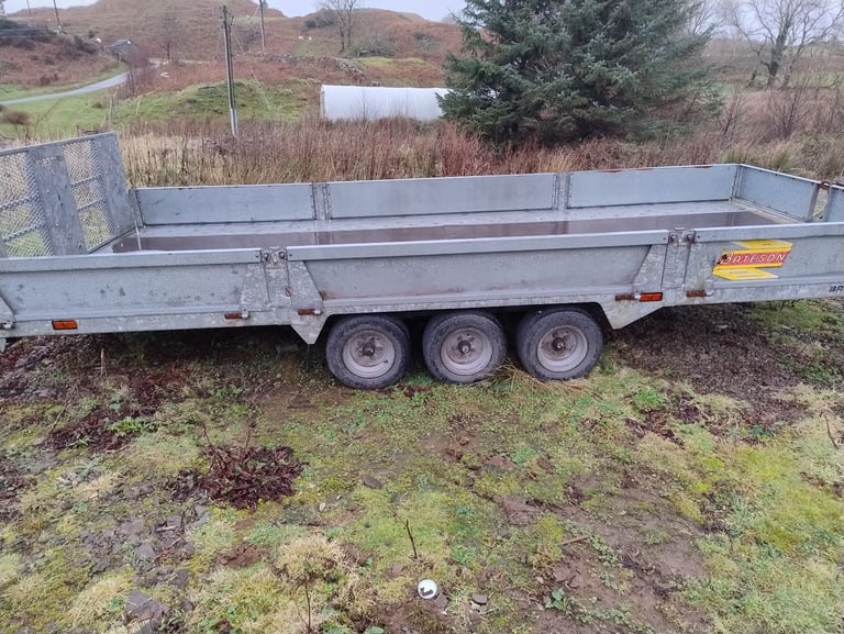 image for Tipping Car Transporter