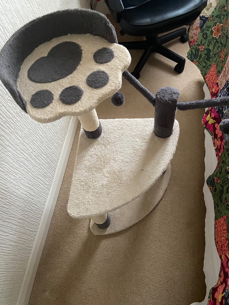 Cat beds and scratch posts