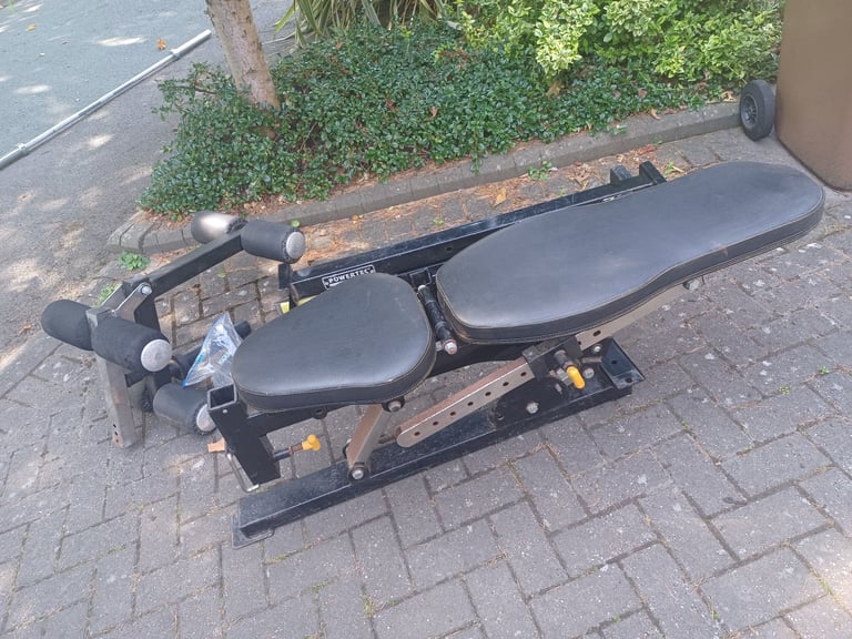 POWERTEC WEIGHTS BENCH WITH LEG CURL ATTACHMENT