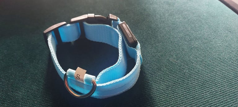 LED light dog's collar