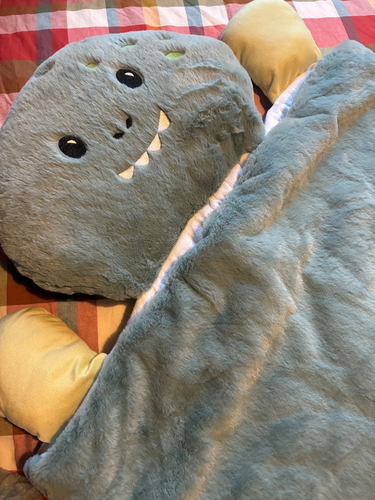 Dinosaur sleeping bag brand new