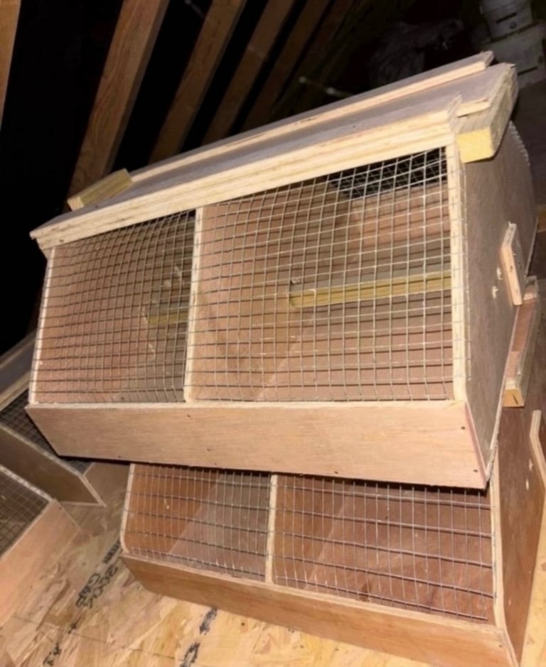 image for 1 or 2 Brand New Bird or small animal transport cages boxes