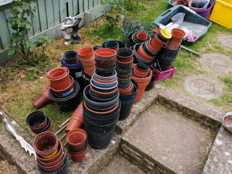 Free flower pots