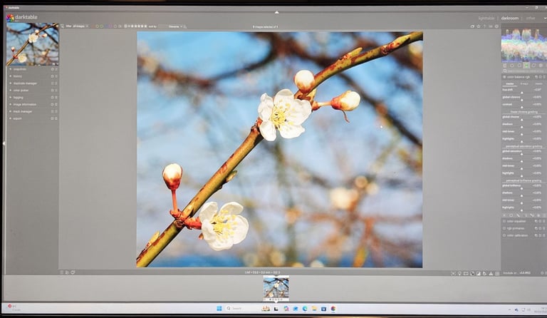 Dell Precision T5810 PC/Workstation with Xeon E5-2697v4 processor, 32GB RAM, 240GB SSD and 3TB HDD.