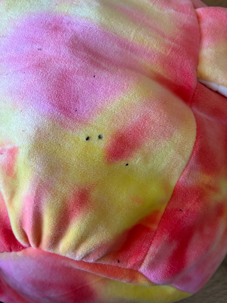 Squishmallows