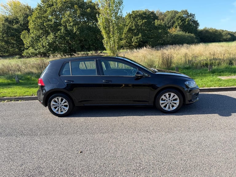Volkswagen Golf 1.6 TDI BlueMotion Tech SE DSG 5dr DIESEL AUTOMATIC 2013/63