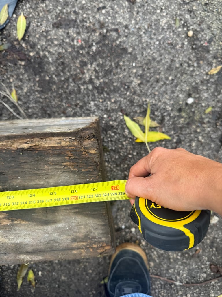 400 year old oak beams 