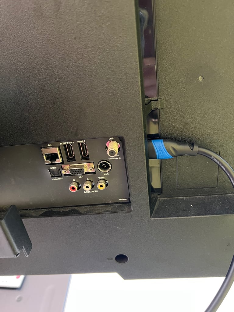 65 inch tv on wheels 