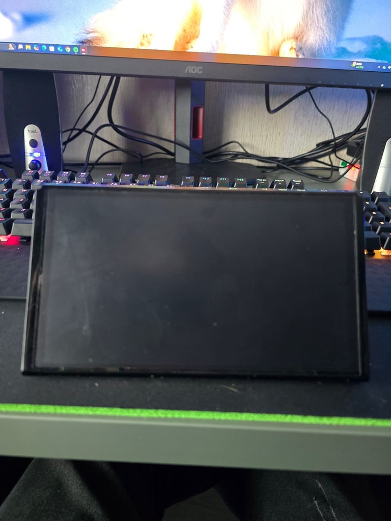 Nintendo switch oled