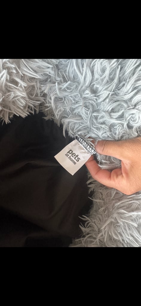 Small grey fluffy dog or cat bed pets at home