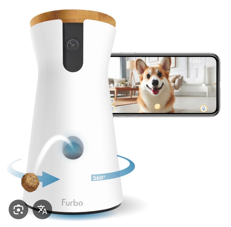 Wanted - Cheap Pet Camera