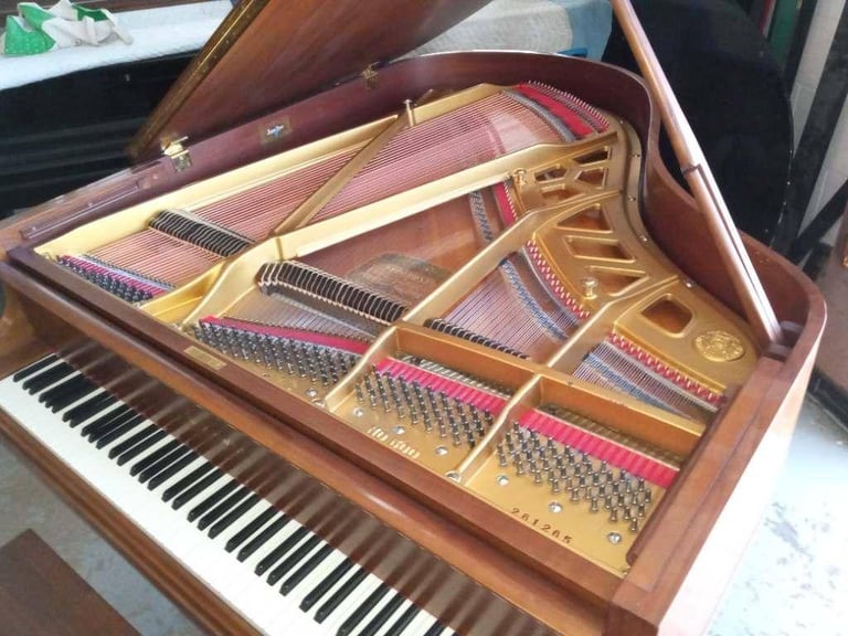 Kawai 500
