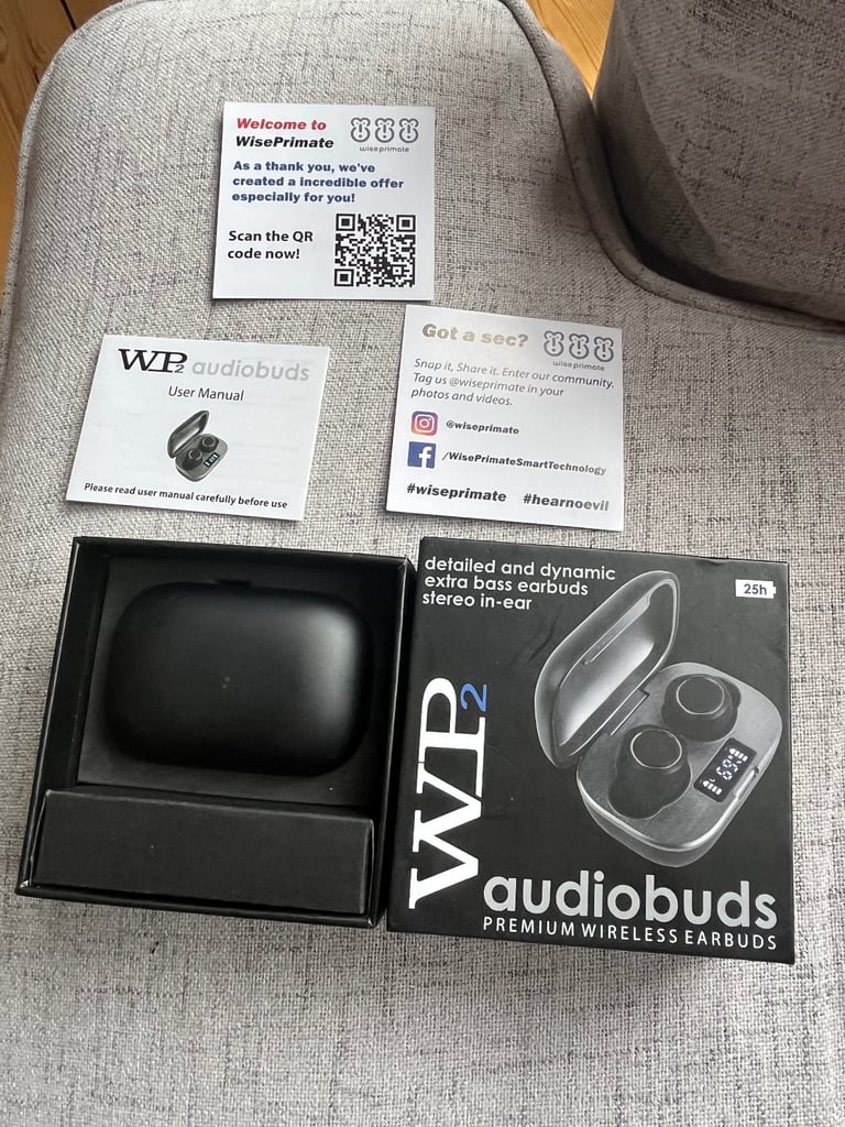 WP2 AUDIOBUDS