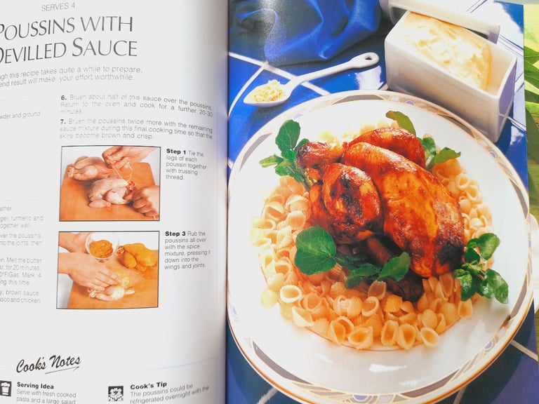 The great Chicken cookbook Judith Ferguson